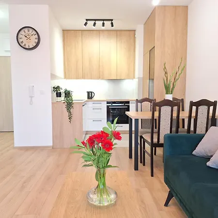 Loft 24 Apartament - Prywatny Parking Nawet Na Samochody Dostawcze, F-Ra Vat Szczecin Exterior photo